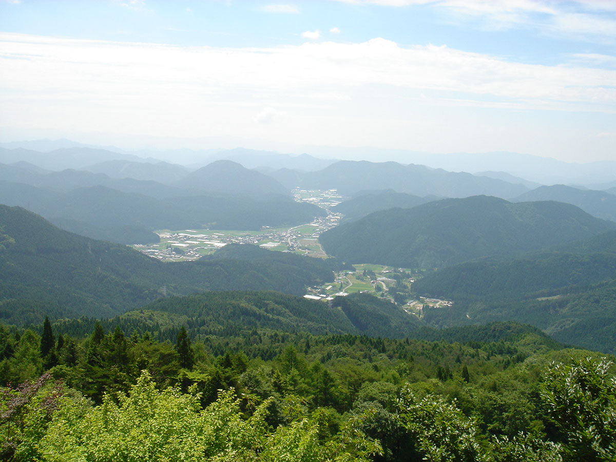 夏焼城ヶ山