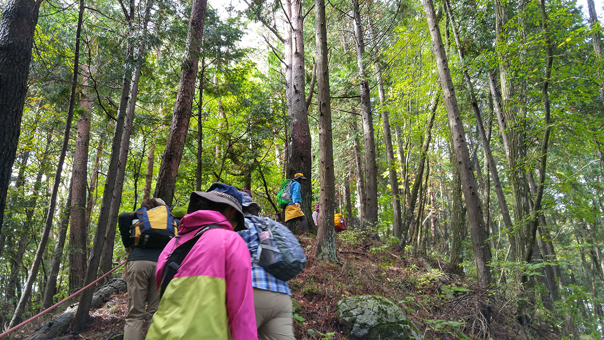 夏焼城ヶ山