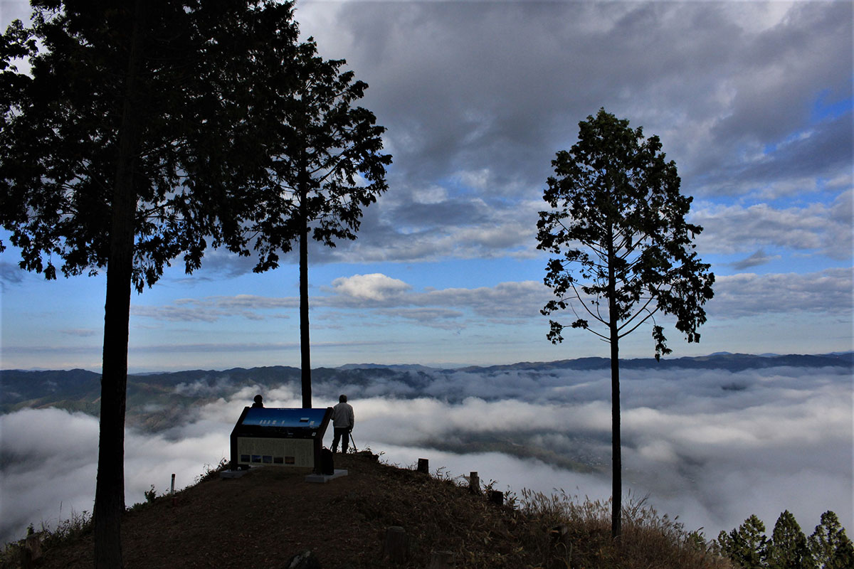 押山雲海