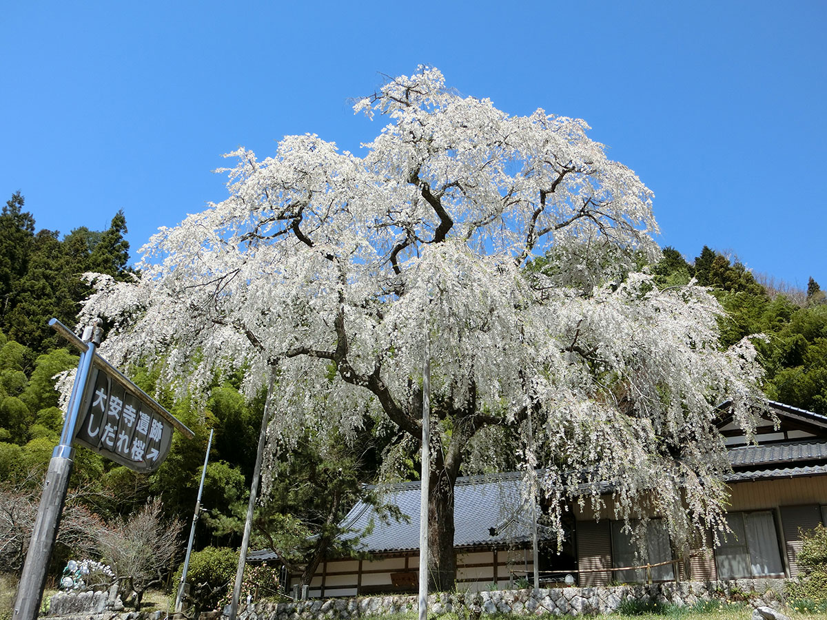 大安寺