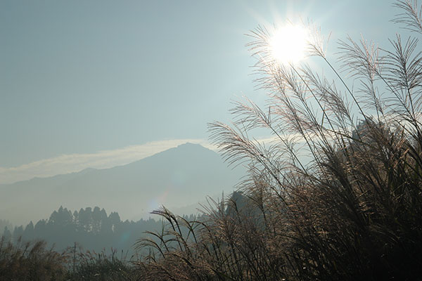 夏焼城ヶ山