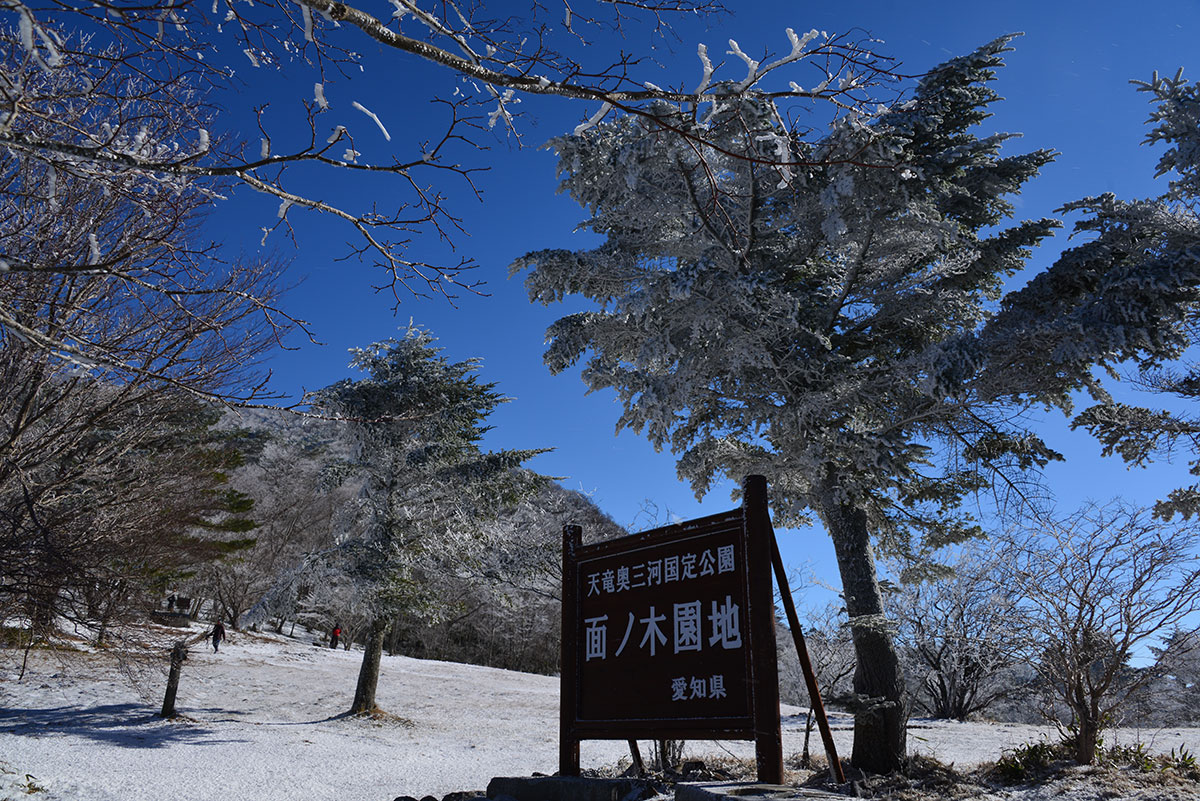 面ノ木原生林