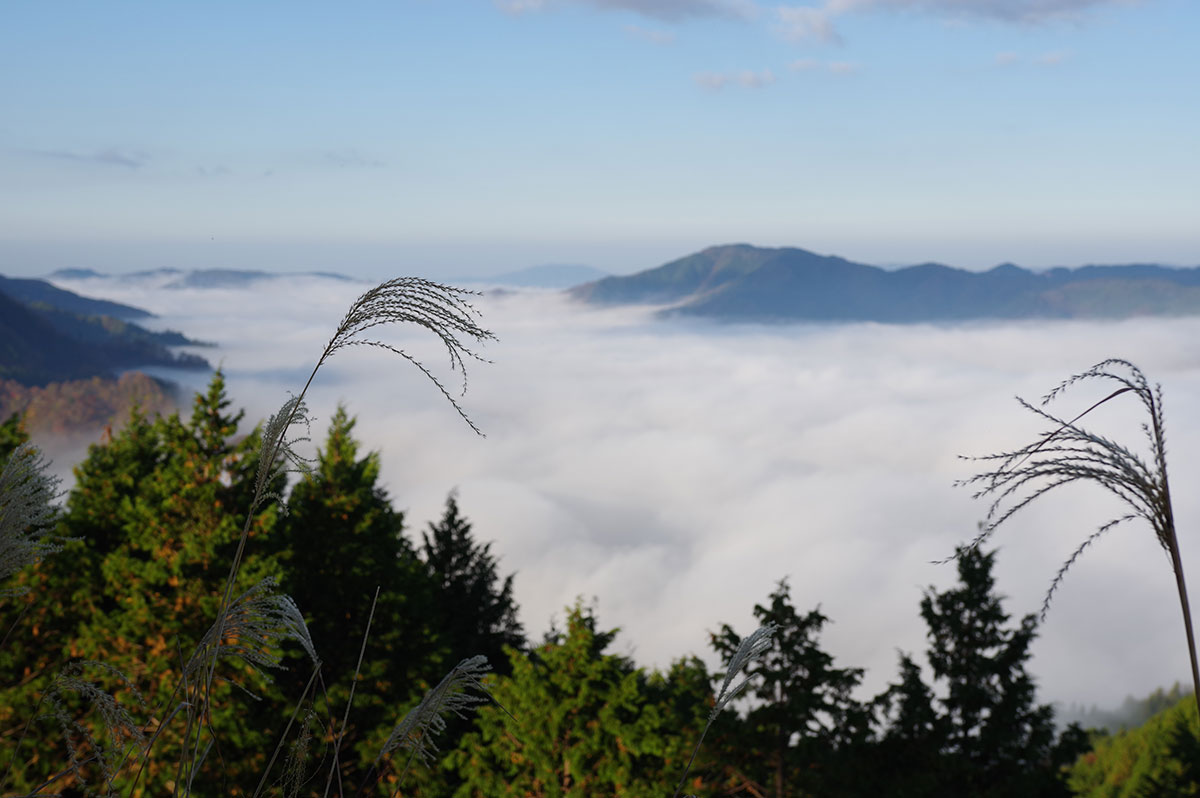 押山雲海