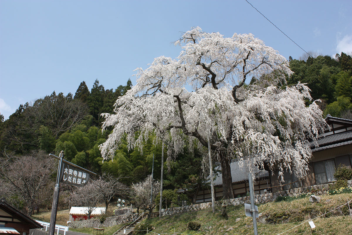 大安寺