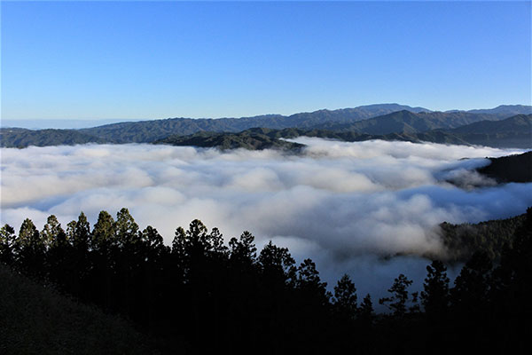 押山雲海