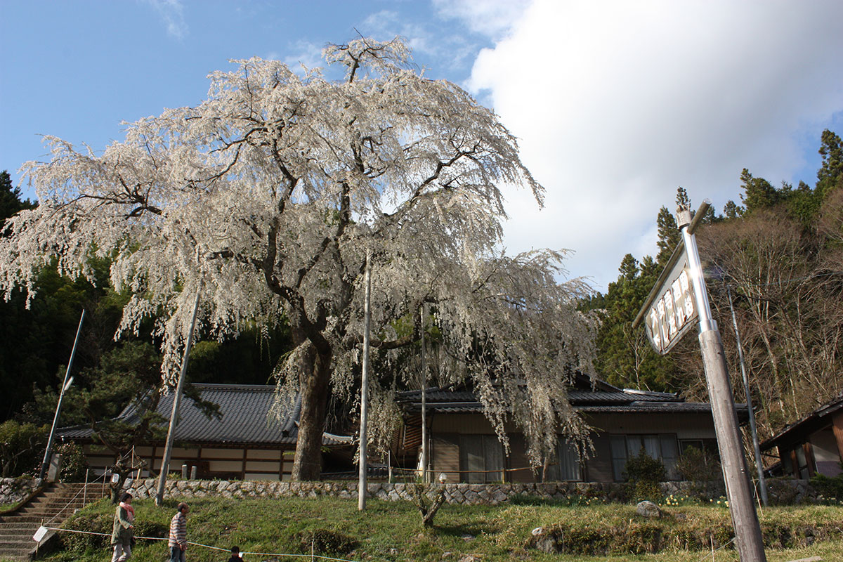 大安寺