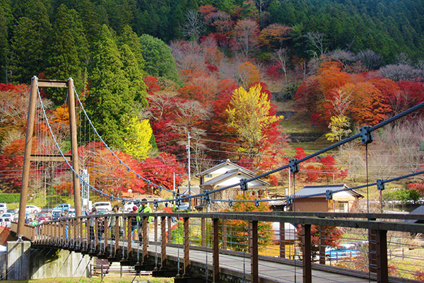 大井平公園