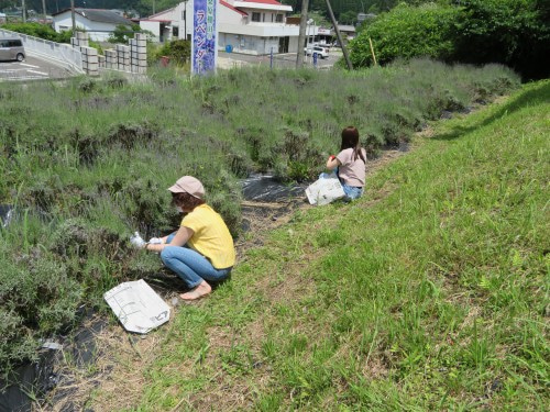 「どんぐり工房」自然体験・環境学習